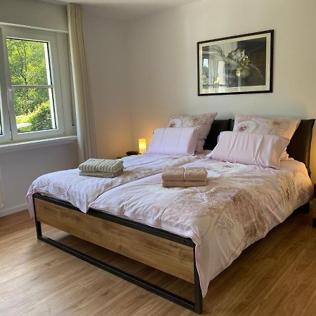 Ferienwohnung Blick Ins Gruene وينتربرغ المظهر الخارجي الصورة